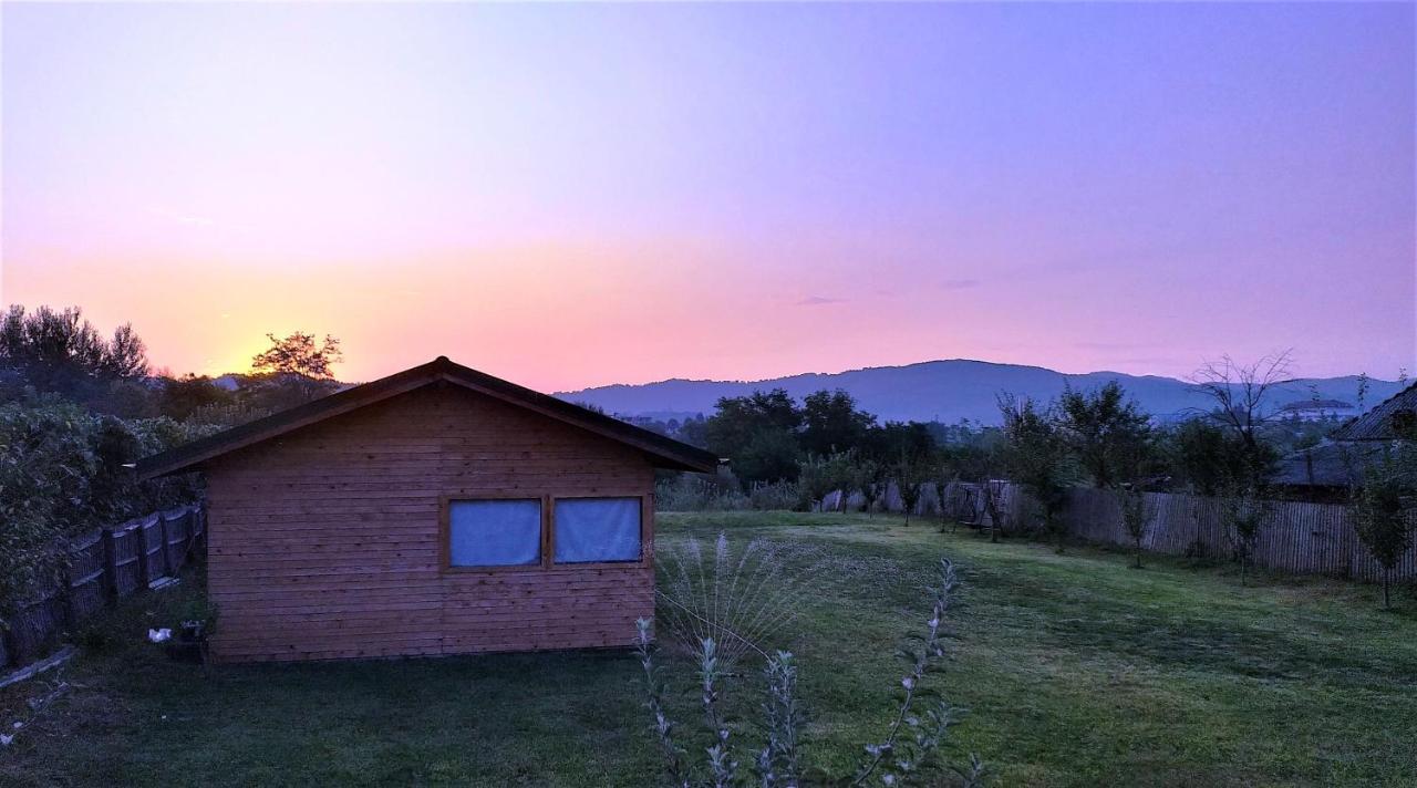 La Livada Villa Valea Danului Exterior foto