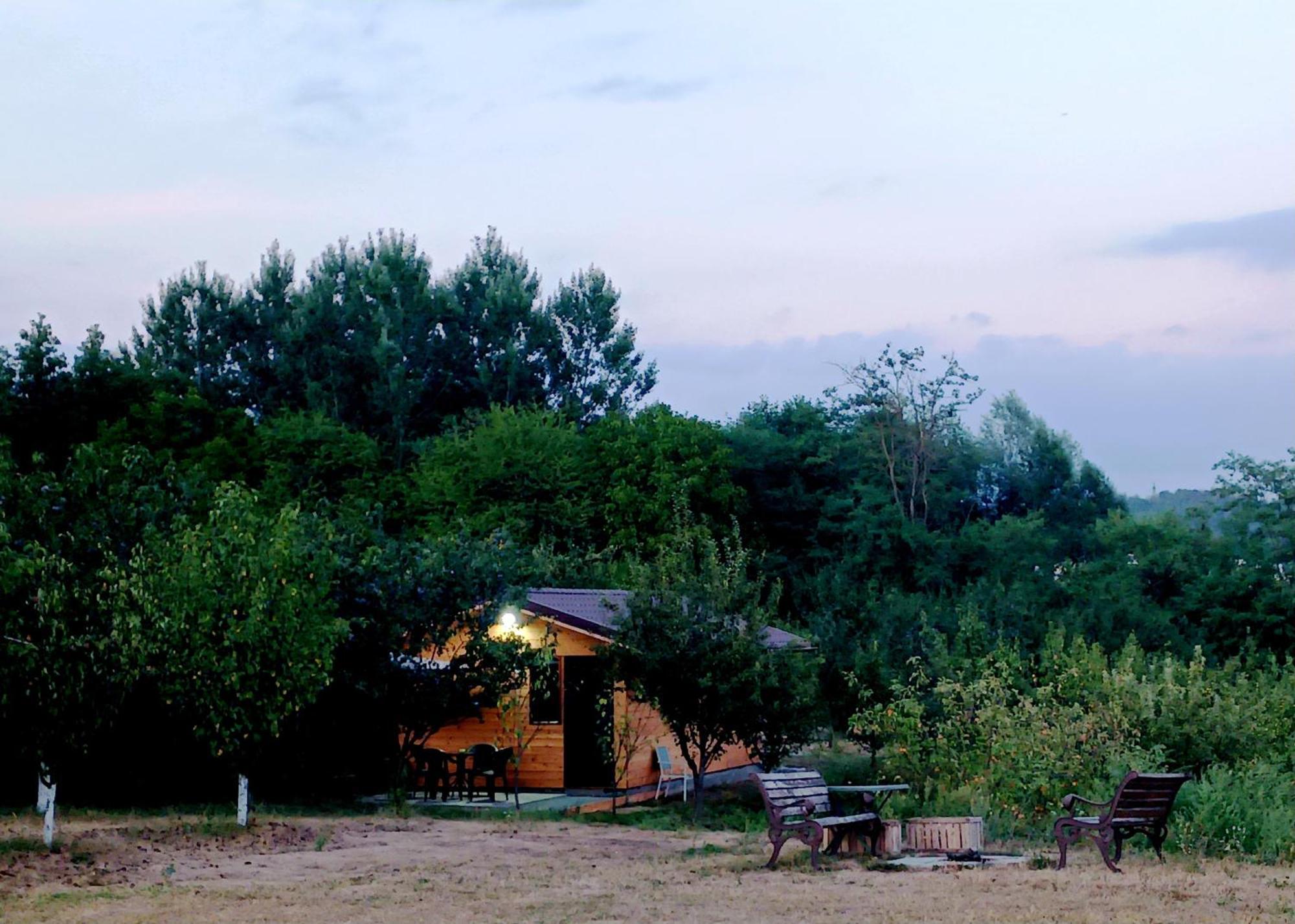 La Livada Villa Valea Danului Exterior foto