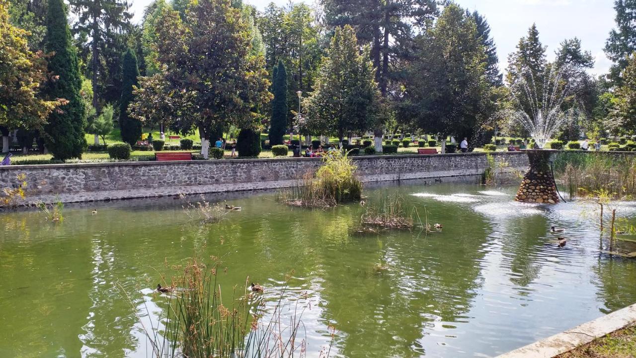 La Livada Villa Valea Danului Exterior foto